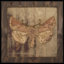 carved_moth_1