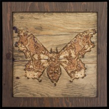 carved_moth_11