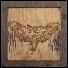 carved_moth_13