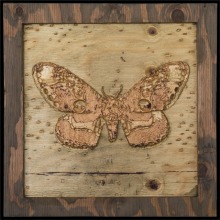 carved_moth_17