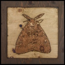carved_moth_18