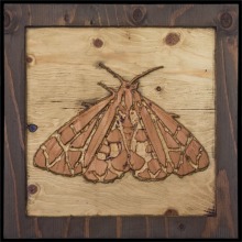 carved_moth_19
