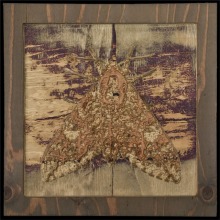 carved_moth_20