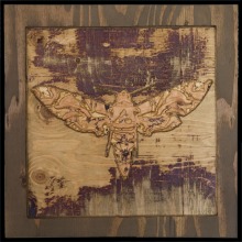 carved_moth_3