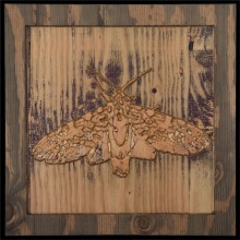 carved_moth_5