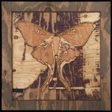 carved_moth_9