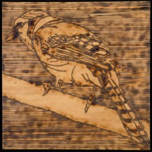 BLUE_JAY-carved_torched_wood_w_encaustic_wax__30x30_