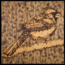 CARDINAL-carved_torched_wood_w_encaustic_wax__30x30_