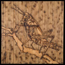 CRICKET-carved_torched_wood_w_encaustic_wax__30x30_