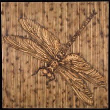 DRAGONFLY-carved_torched_wood_w_encaustic_wax__30x30_