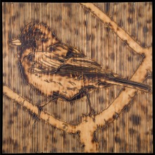 JUNCO-carved_torched_wood_w_encaustic_wax__30x30_
