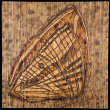 MOTH_1_panel-carved_torched_wood_w_encaustic_wax__30x30_