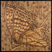 MOTH_2_panel-carved_torched_wood_w_encaustic_wax__30x30_