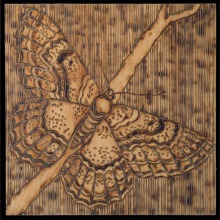 MOTH_5_panel-carved_torched_wood_w_encaustic_wax__30x30_