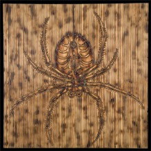 SPIDER-carved_torched_wood_w_encaustic_wax__30x30-_