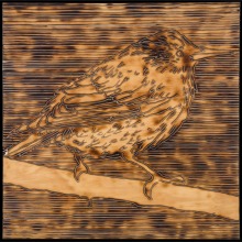 STARLING-carved_torched_wood_w_encaustic_wax__30x30_