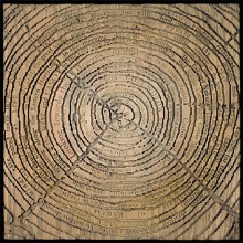 TREE RING GEMINI AND THE GOAT WILLOW