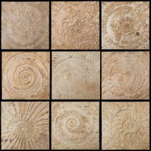 VORTEX_-carved_wood_and_encuastic_wax_contact_sheet_for_website