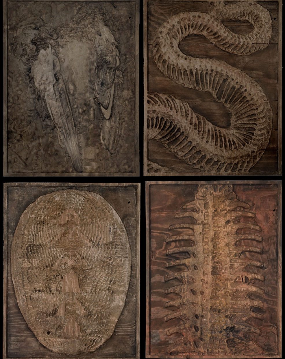 FOSSIL (4 for website)